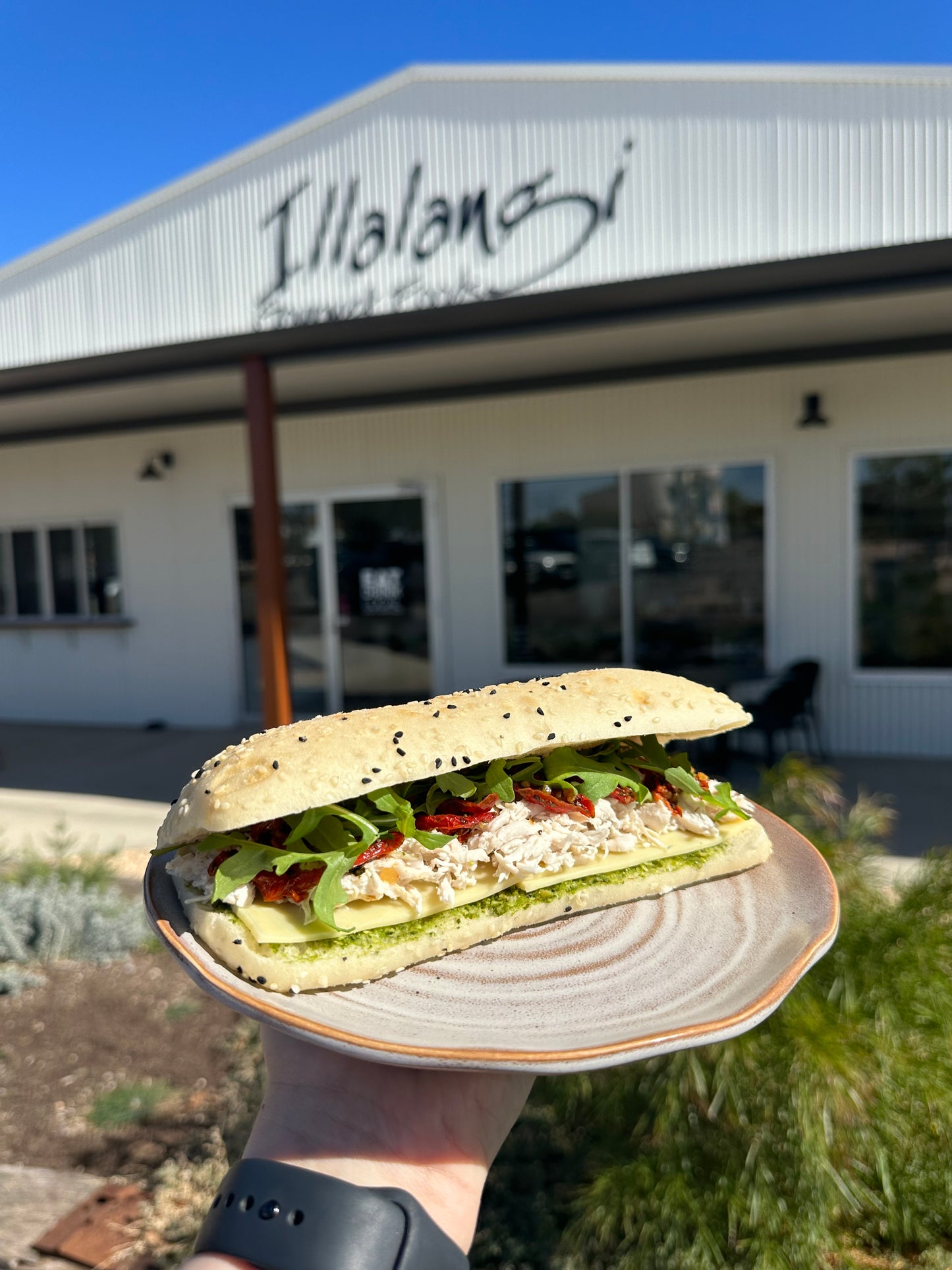 Panini Chicken