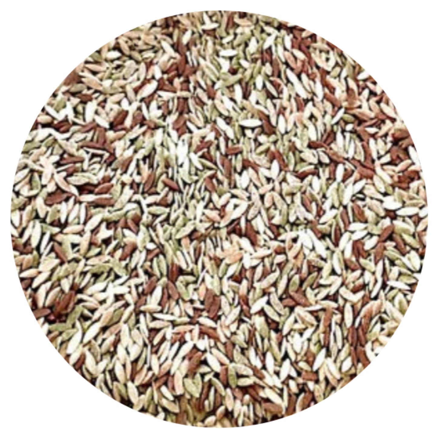 Orzo - 500g - Default Title