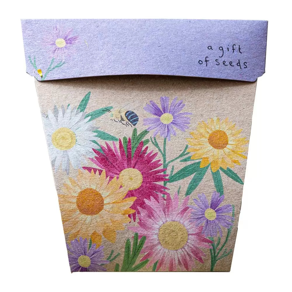 SOW 'N SOW - Gift of Seeds - Native Daisies