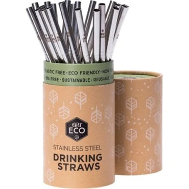 Stainless Steel Straws - Ever Eco - Silver / Straight - Single
