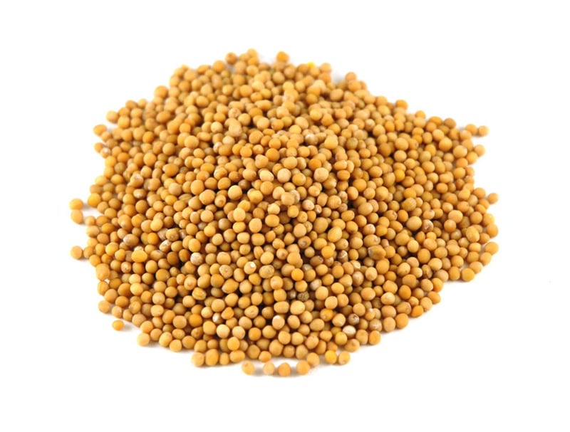 Mustard Seed - Yellow - Bulk - per 10g - Default Title