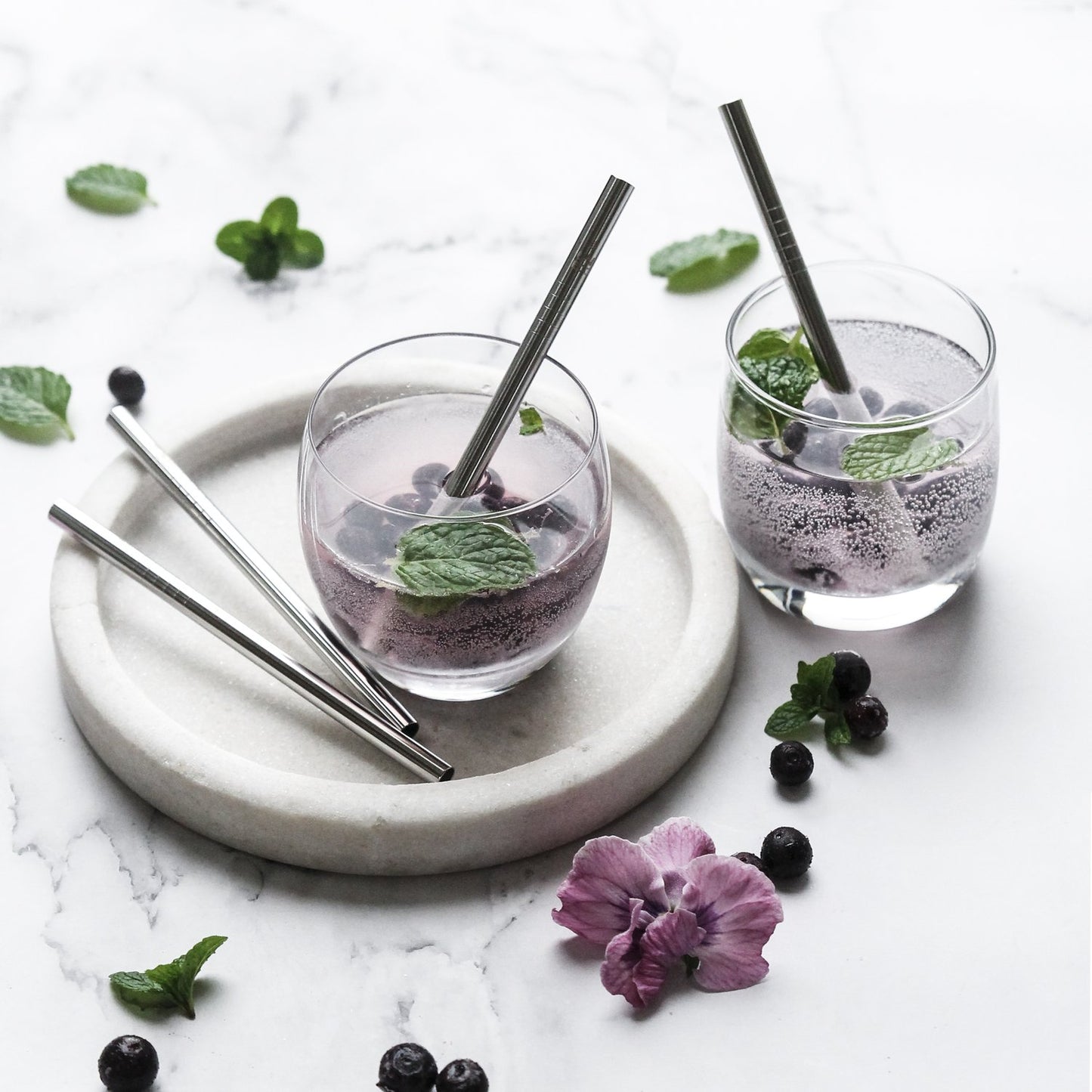 Stainless Steel Straws - Ever Eco - Silver / Short - Single