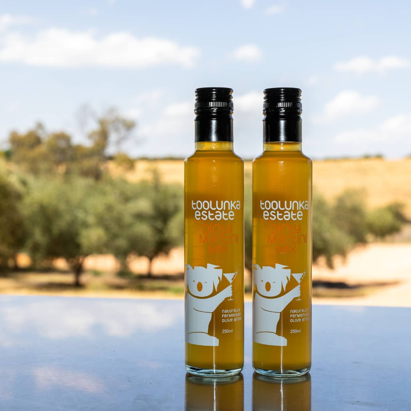 Dirty Martini Mix - Toolunka Creek - 250ml - Default Title