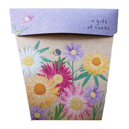 SOW 'N SOW - Gift of Seeds - Native Daisies