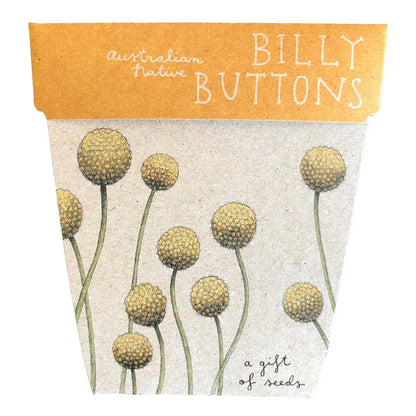 SOW 'N SOW - Gift of Seeds - Billy Buttons