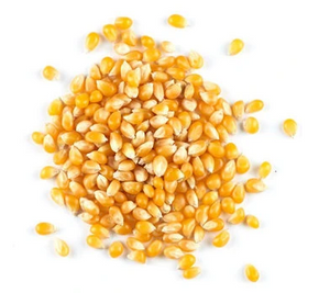 Popping corn - Bulk - per 10g
