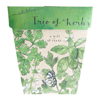 SOW 'N SOW - Gift of Seeds - Trio Of Herbs