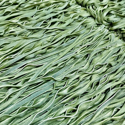 L'Abruzzese Pasta - Spinach Fettucine 375g -