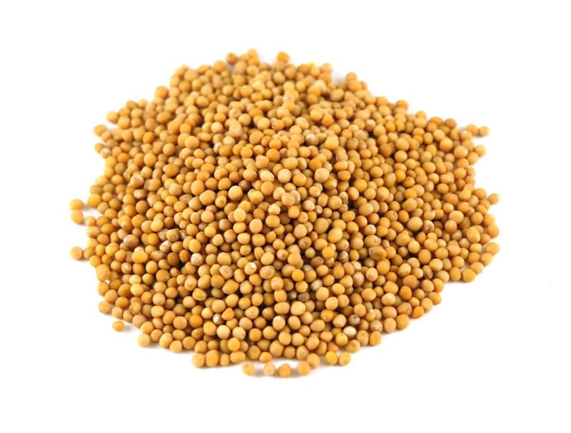 Mustard Seed - Yellow - Bulk - per 10g -