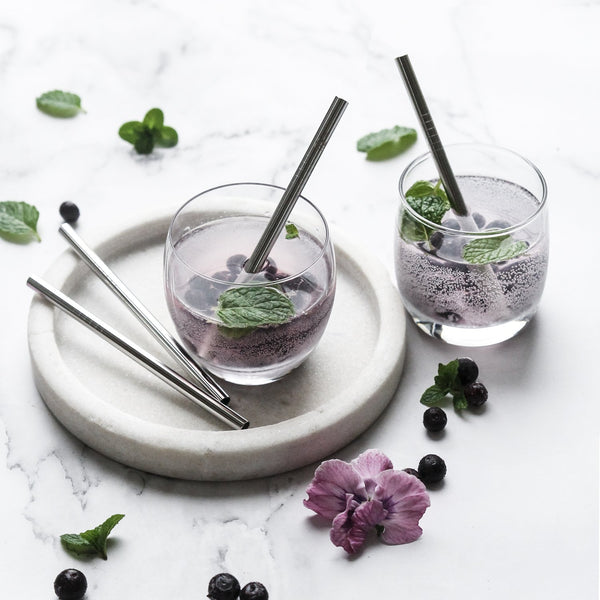 Ever Eco - Stainless Steel Straws - Silver / Short - Single